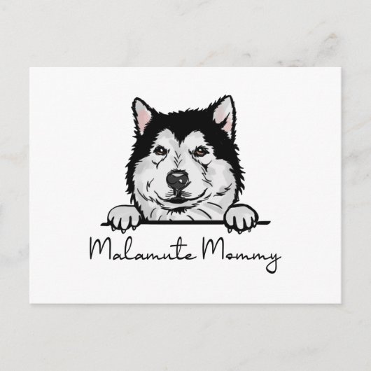 Carte Postale Alaskan Malamute maman (Devant)