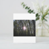 Carte Postale Alaskan Sun (Debout devant)