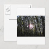 Carte Postale Alaskan Sun (Devant / Derrière)