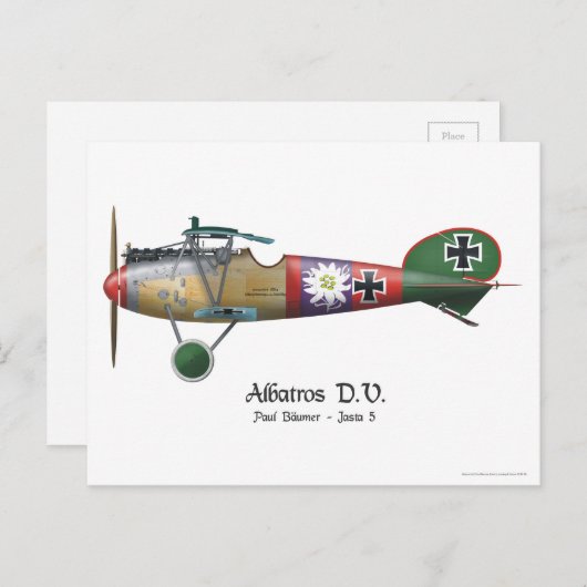 Carte Postale Albatros D.V. ww1 Avion de chasse allemand Bäumer (Devant / Derrière)
