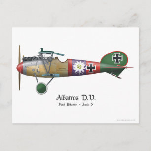 Carte Postale Albatros D.V. ww1 Avion de chasse allemand Bäumer
