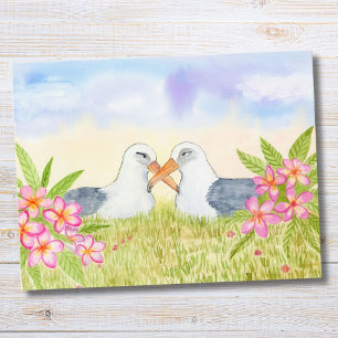 Carte Postale Albatros de Laysan avec Plumeria rose