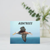 Carte Postale Albatros volant (Debout devant)
