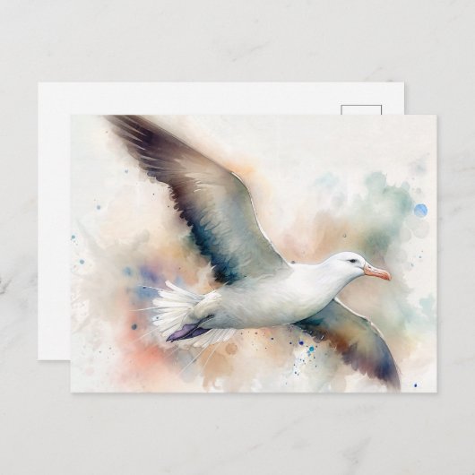 Carte postale Albatross Watercolor (Devant / Derrière)