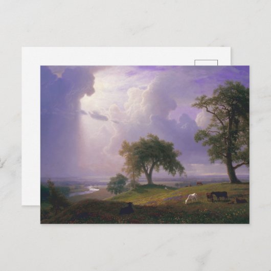 Carte Postale Albert Bierstadt California Spring Cattle (Devant / Derrière)