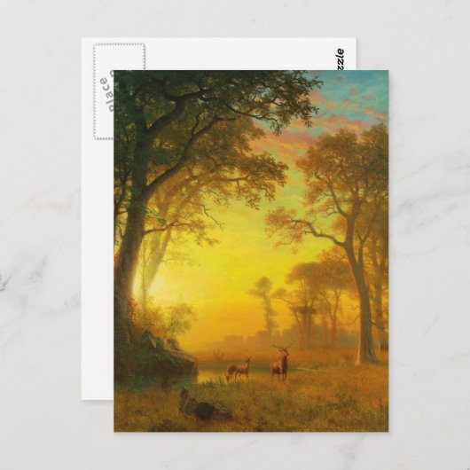 Carte Postale Albert Bierstadt Lumière dans la forêt (Devant / Derrière)