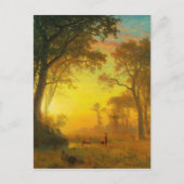 Carte Postale Albert Bierstadt Lumière dans la forêt (Devant)