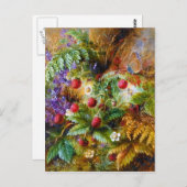 Carte Postale Albert Dürer Lucas : Fraises sauvages et papillons (Devant / Derrière)