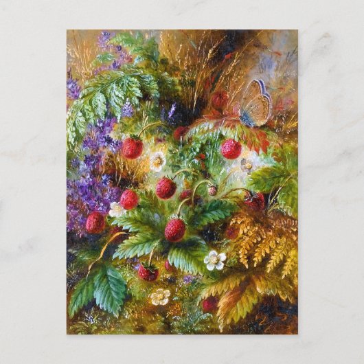 Carte Postale Albert Dürer Lucas : Fraises sauvages et papillons (Devant)