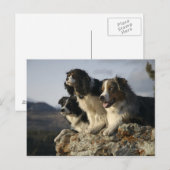 Carte Postale Alberta, Canada 2 (Devant / Derrière)