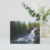 Carte Postale Alberta Falls II (Debout devant)