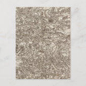 Carte Postale Albi (Devant)