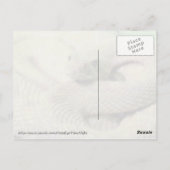 Carte postale Albino Rattlesnake (Dos)