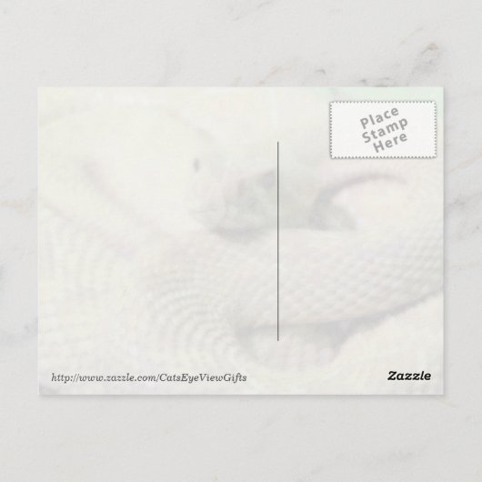 Carte postale Albino Rattlesnake (Dos)