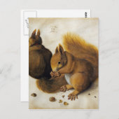 Carte Postale Albrecht Durer - Deux Écureuils, L'Un Mangeant Un (Devant / Derrière)