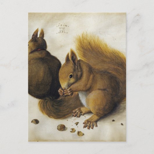 Carte Postale Albrecht Durer - Deux Écureuils, L'Un Mangeant Un (Devant)