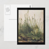 Carte Postale Albrecht Durer Grande pièce de Turf (Devant / Derrière)