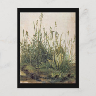 Carte Postale Albrecht Durer Grande pièce de Turf