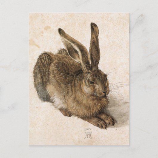 Carte Postale Albrecht Dürer - Junger Hase (Young Hare), 1502 (Devant)