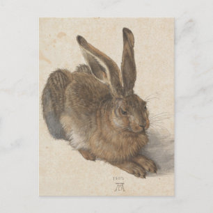 Carte Postale Albrecht Dürer - lièvre