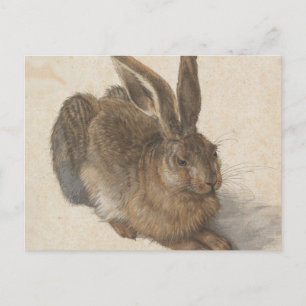 Carte Postale Albrecht Dürer - lièvre