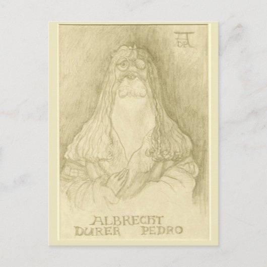 Carte postale "Albrecht Durer Pedro" (Devant)