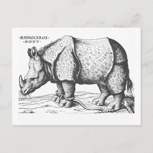 Carte Postale Albrecht Durer - Rhinoceros (Devant)