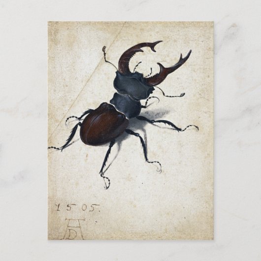 Carte Postale Albrecht Dürer Stag Beetle (Devant)