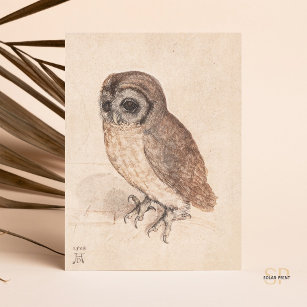 Carte Postale Albrecht Durer The Little Owl Art