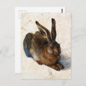 Carte Postale Albrecht Dürer Young Hare (Devant / Derrière)