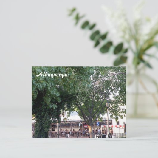 Carte Postale Albuquerque (Debout devant)