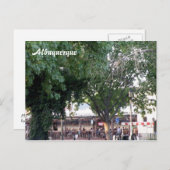 Carte Postale Albuquerque (Devant / Derrière)