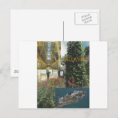 Carte Postale Alcatraz (Devant / Derrière)