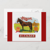 Carte Postale Alcazar le cheval de course (Devant / Derrière)