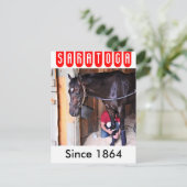 Carte Postale Alcolite - Corse Haven Granges à Saratoga (Debout devant)