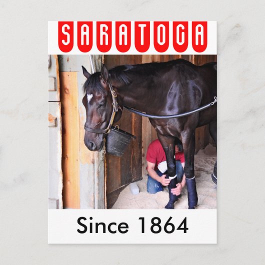 Carte Postale Alcolite - Corse Haven Granges à Saratoga (Devant)