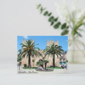 Carte Postale Alcudia, Majorque (Debout devant)