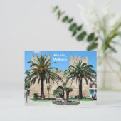 Carte Postale Alcudia, Majorque (Debout devant)