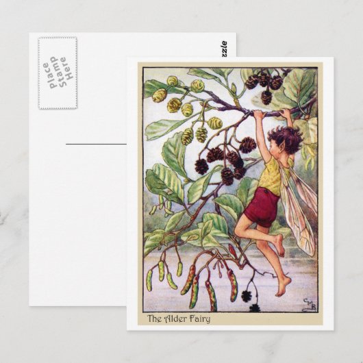 Carte Postale Alder Fairy (Devant / Derrière)