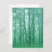 Carte Postale Alder noir (Devant / Derrière)