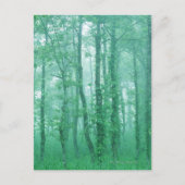 Carte Postale Alder noir (Devant)