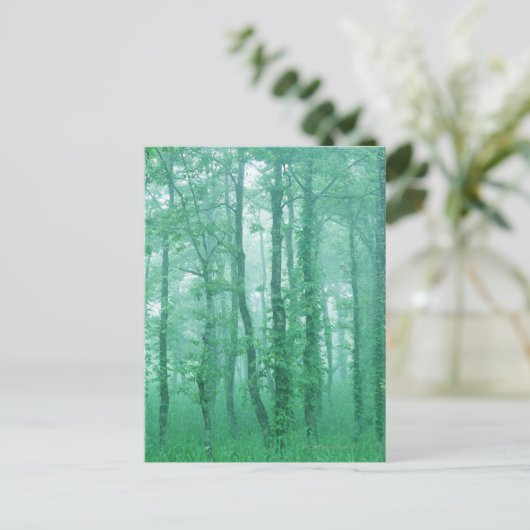 Carte Postale Alder noir (Debout devant)