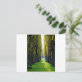 Carte Postale ALEJAWroclaw Pologne (Debout devant)