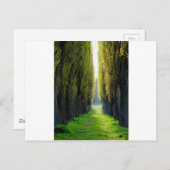 Carte Postale ALEJAWroclaw Pologne (Devant / Derrière)