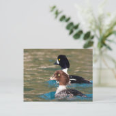 Carte Postale Alert Goldeneye (Debout devant)