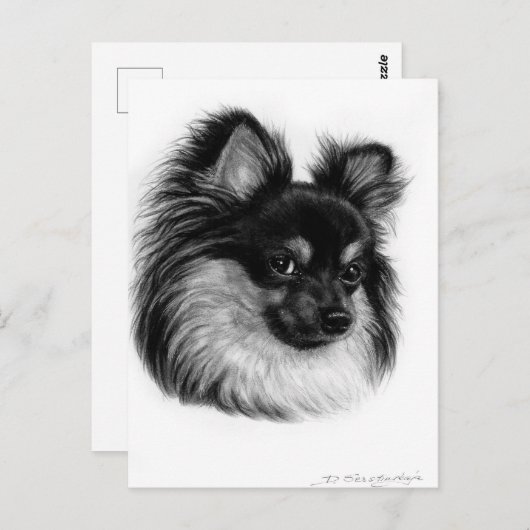 Carte Postale Alert Long Haired Chihuahua Main Drag Art (Devant / Derrière)