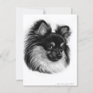 Carte Postale Alert Long Haired Chihuahua Main Drag Art