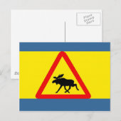 Carte Postale Alerte à l'élan (Devant / Derrière)