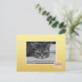 Carte Postale Alerte de grumpage (Debout devant)