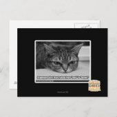 Carte Postale Alerte de grumpage (Devant / Derrière)